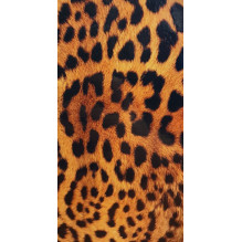 Evelatus Universal Leopard Colorful Film for Screen Cutter