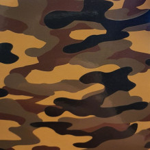 Evelatus Universal Camouflage Colorful Film for Screen Cutter
