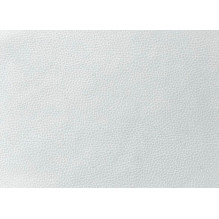 Evelatus Universal Tablet...
