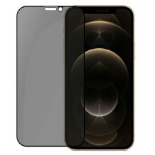 Evelatus Apple iPhone 12 PRO Max Privacy 2.5D Silk Full Cover Japan Glue Anti-Static