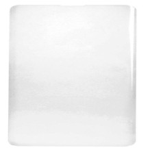 Evelatus Samsung S10 Clear Glass UV + Glue