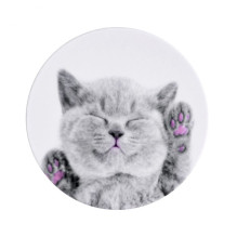iLike Universal Pop Holder Cat