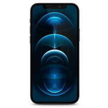„Guess“ – grūdintas stiklas „Guses“ GUSPP12LSLTR iPhone 12 Pro Max 6.7' su vintažiniu „Magic Logo“
