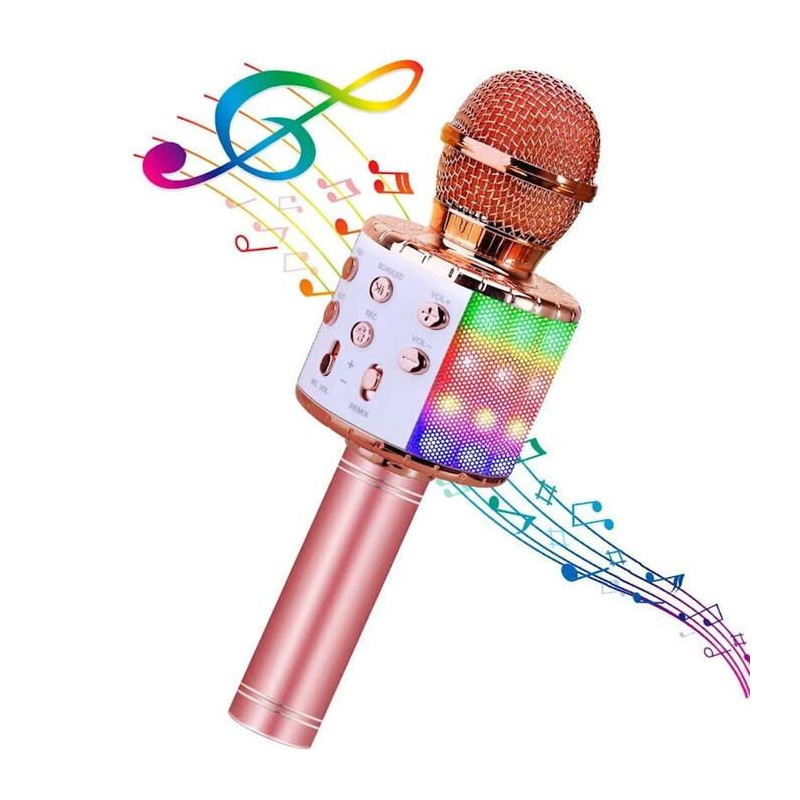 HQ Royal Song WS-858 karaoke mikrofonas vaikams ir suaugusiems su garso efektais ir įrašymo įrenginiu, micro SD ir USB a