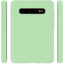 Evelatus Samsung Galaxy S10 Nano Silicone Case Soft Touch TPU Mint