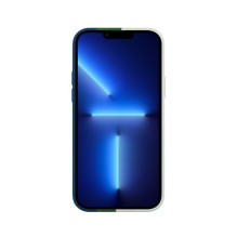 Evelatus Apple iPhone 13 Pro Silicone case Multi-Colored Green