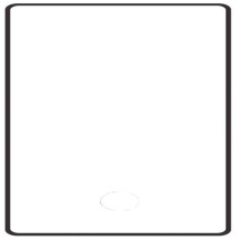 Evelatus Samsung Galaxy Note 10 2.5D Full Cover Japan Glue Glass Anti-Static