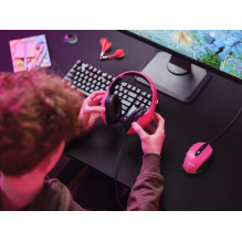 AUSINĖS GXT415P ZIROX / PINK 24992 TRUST