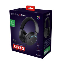 AUSINĖS GXT 490 FAYZO / 24900 TRUST