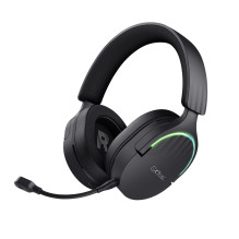 AUSINĖS WRL GXT491 FAYZO / BLK 24901 TRUST