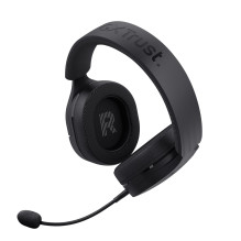 AUSINĖS WRL GXT491 FAYZO / BLK 24901 TRUST