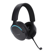 AUSINĖS WRL GXT491 FAYZO / BLK 24901 TRUST
