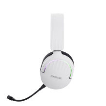 AUSINĖS WRL GXT491W FAYZO / WHT 25304 TRUST