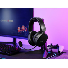 AUSINĖS WRL GXT491 FAYZO / BLK 24901 TRUST