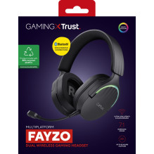 AUSINĖS WRL GXT491 FAYZO / BLK 24901 TRUST