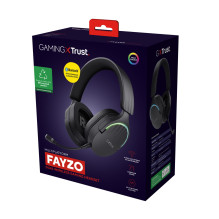 AUSINĖS WRL GXT491 FAYZO / BLK 24901 TRUST
