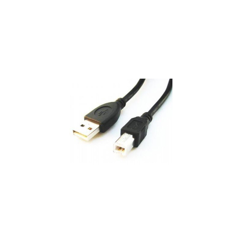 CABLE USB2 AM-BM 1.8M / CCP-USB2-AMBM-6 GEMBIRD