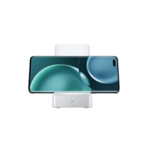 MOBILIOJO ĮKROVIKLIO STOVAS WRL 100W / BALTA 5503AADJ HONOR