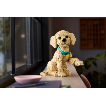 LEGO ICONS 11384 Golden Retriever Puppy