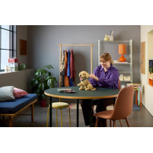 LEGO ICONS 11384 Golden Retriever Puppy