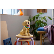 LEGO ICONS 11384 Golden Retriever Puppy