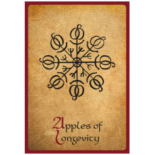 AGM Norse Magic Orakulo Kortos