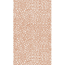 Taro Kortų Rinkinys - DE A.E. Waite 78 Kortos 57x89mm su Instrukcijų Knygele