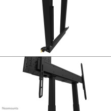 TV SET ACC WALL MOUNT / WL55-875BL1 NEOMOUNTS
