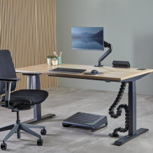CABLE ACC SPINE ORGANIZER / BLACK 100136871 FELLOWES