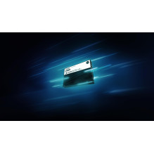 SSD, KINGSTON, SSD serija DC3000ME, 3,84 TB, NVMe, NAND „flash“ technologija 3D TLC, Įrašymo greitis 5800 MB/s, Skaitymo