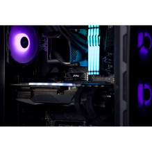 M.2 SSD - Kingston Fury Renegade 2TB PCIe 5.0 NVMe Juodas