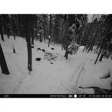 PNI Hunting 400C PRO 24MP hunting camera kit with 18Ah battery and power cable