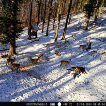 PNI Hunting 400C PRO 24MP medžioklės kameros komplektas su 18Ah baterija ir maitinimo laidu PNI Hunting 400C PRO 24MP medžioklės kameros komplektas su 18Ah baterija ir maitinimo laidu