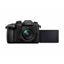 Panasonic Lumix G GH5 II (DC-GH5M2M) + Panasonic LUMIX G Vario 12-60mm f / 3.5-5.6 Asph. Power OIS (H-FS12060) (Black)
