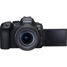 Canon EOS R6 Mark II + RF 24-105mm F4-7.1 IS STM + Mount Adapter EF-EOS R