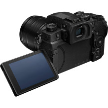 Panasonic Lumix G95D (90 / 91 / 99) + Panasonic LUMIX G Vario 12-60mm f / 3.5-5.6 Asph. Power OIS (H-FS12060) (Black)