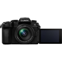 Panasonic Lumix G95D (90 / 91 / 99) + Panasonic LUMIX G Vario 12-60mm f / 3.5-5.6 Asph. Power OIS (H-FS12060) (Black)