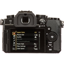 Panasonic Lumix G95D (90 /...