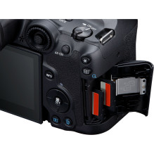 Canon EOS R7 + RF-S 18-45mm F4.5-6.3 IS STM(F / 4.5-6.3 IS STM)