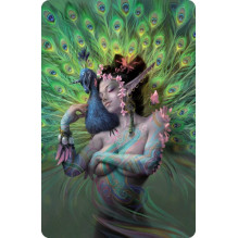 Magnet 'not Peacock' Lo...