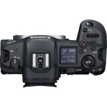 Canon EOS R5 + RF 24-105mm f / 4L IS USM + Mount Adapter EF-EOS R