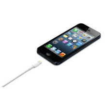 Laidas - Apple Lightning į USB 0.5m ME291ZM / A USB 2.0 480 Mbit / s Laidas - Apple Lightning į USB 0.5m ME291ZM / A USB 2.0 480 Mbit / s