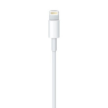 Laidas - Apple Lightning į USB 0.5m ME291ZM / A USB 2.0 480 Mbit / s Laidas - Apple Lightning į USB 0.5m ME291ZM / A USB 2.0 480 Mbit / s