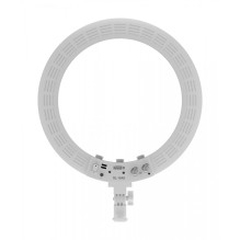 Newell RL-18A LED Ring Light - WB (3200 K - 5500 K) (Arctic White)