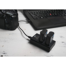 Newell DL-USB-C Dual Channel Charger for LP-E17 Newell DL-USB-C Dual Channel Charger for LP-E17