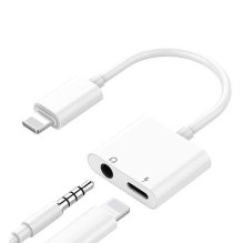 Dual adapter for iPhone...