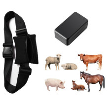 Livestock GPS tracking device