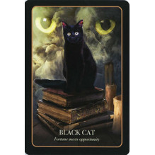 Blue Angel The Halloween Oracle Kortos