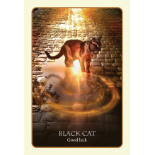 Blue Angel Divination Of The Ancients Oracle Cards