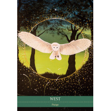 Blue Angel Shamanic Medicine Oracle Cards